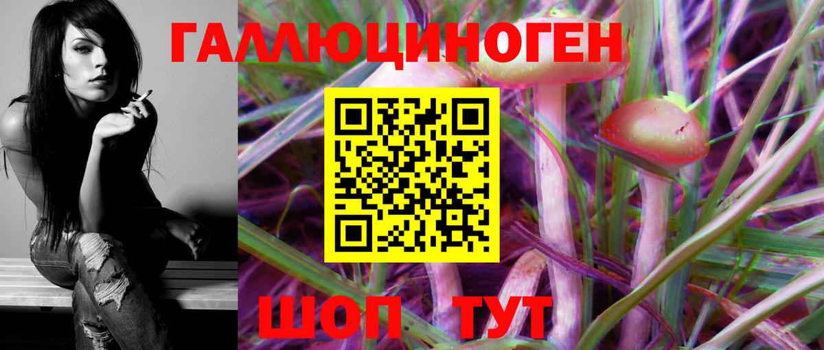 Галлюциногенные грибы Psilocybine cubensis  Вход с VPN  Шебекино  Галлюциногенные грибы MAGIC MUSHROOMS 