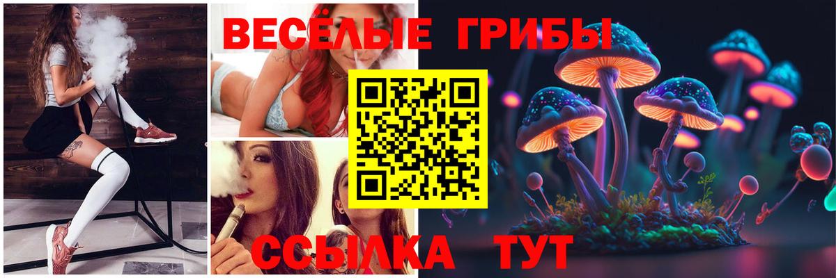 Галлюциногенные грибы мицелий Шебекино
